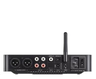FiiO K13 R2R Black - 1370738 - zdjęcie 3